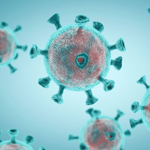 Prevent the spread of COVID-19